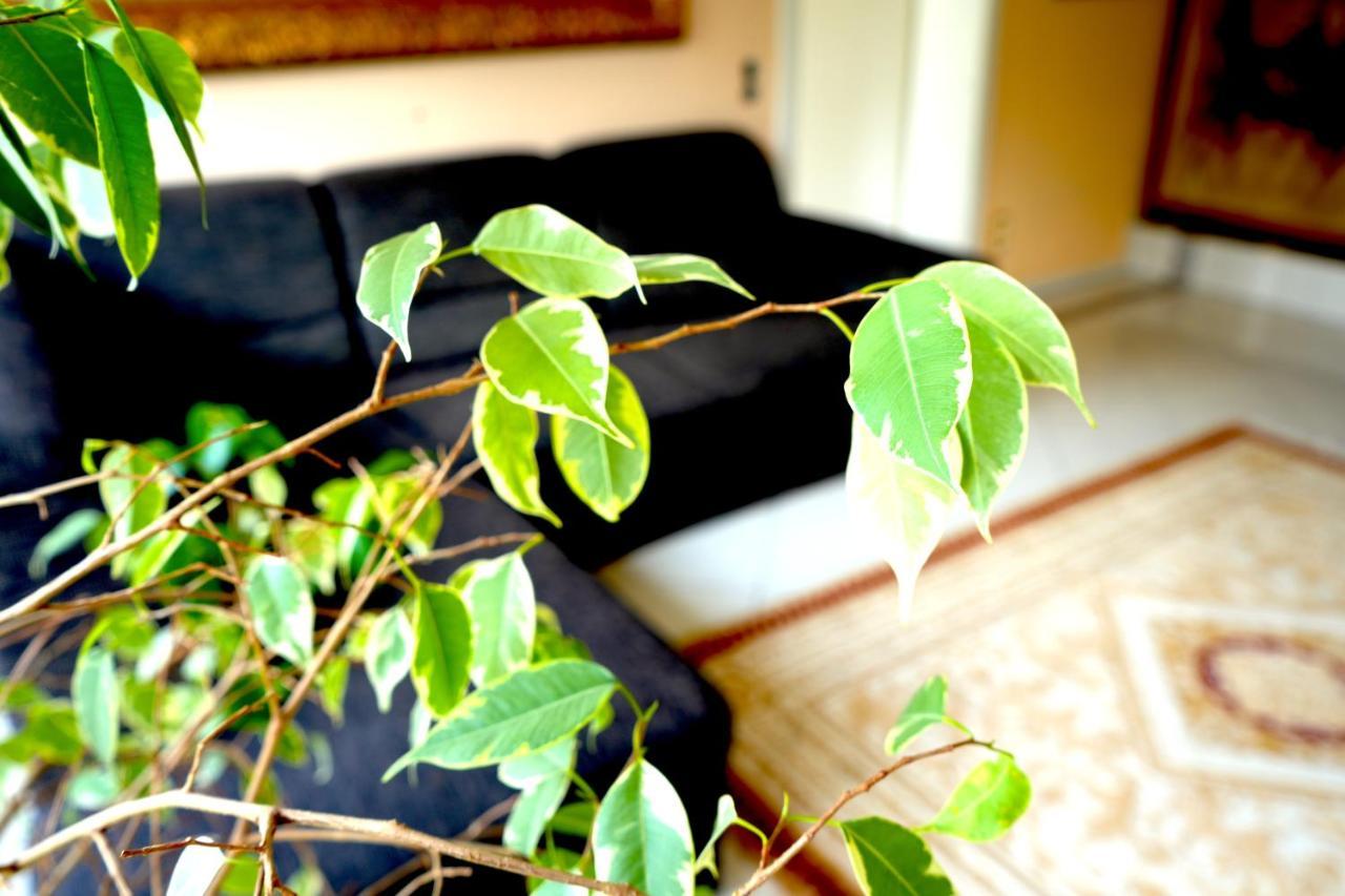 Dreamly Suites Oslip エクステリア 写真